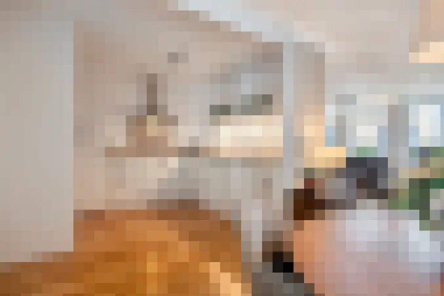 Patersbaan 14 B Maastricht thumbnail 18