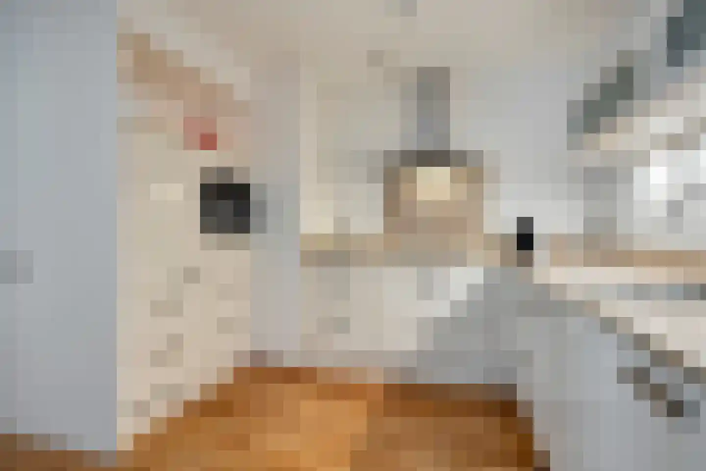 Patersbaan 14 B Maastricht thumbnail 19