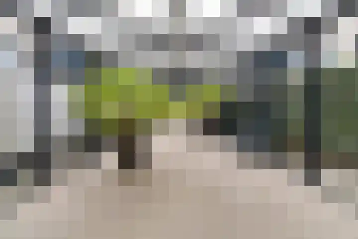 Patersbaan 18 A Maastricht thumbnail 17