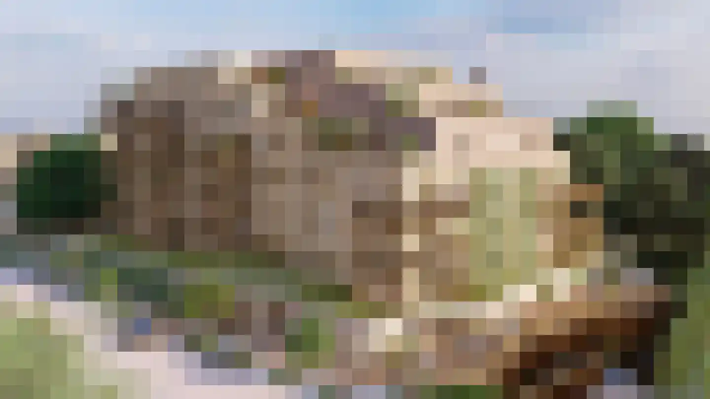 Paterserf 9 L Oosterhout