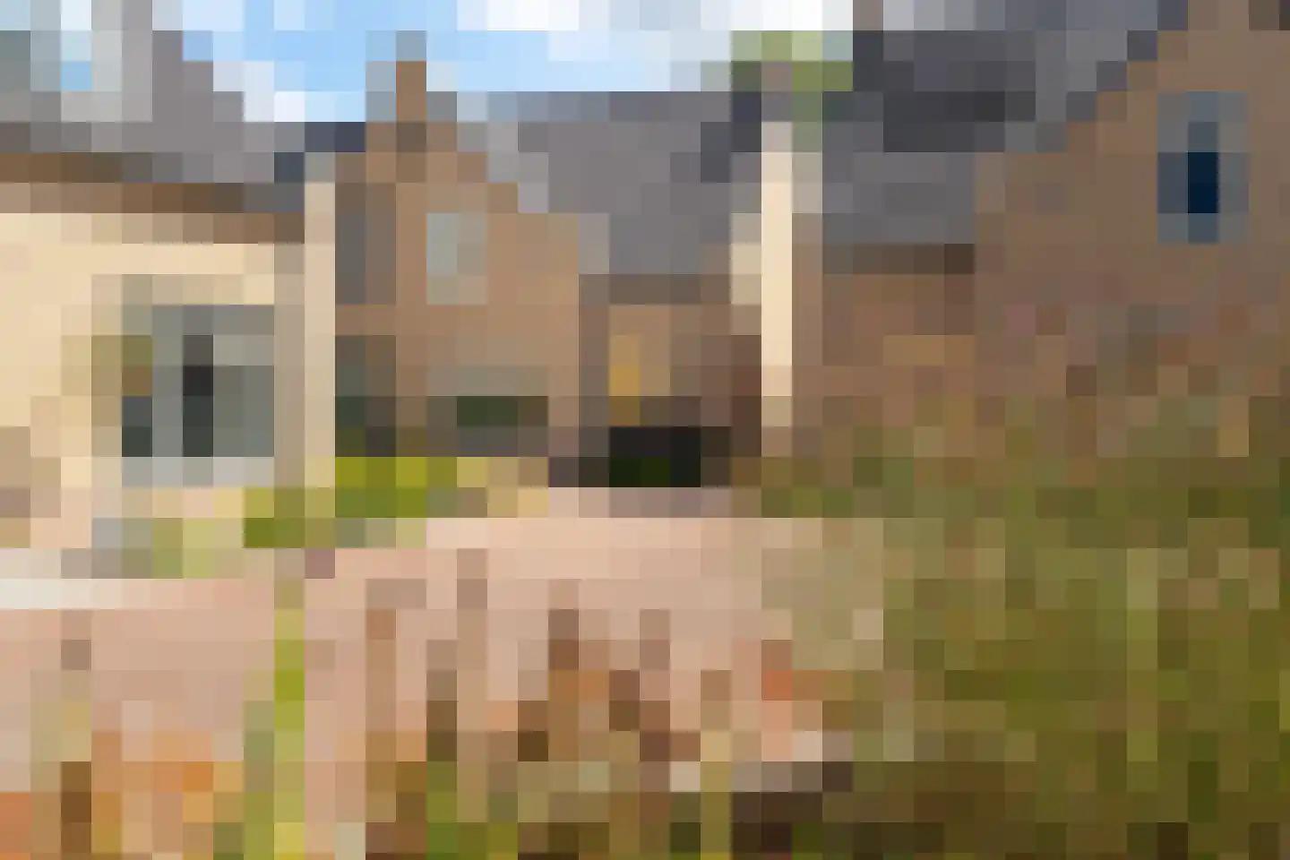 Patershof 13 Waspik thumbnail 29