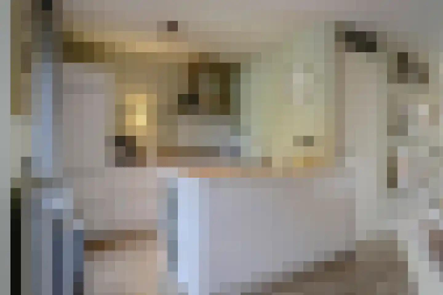 Paterskuil 19 Herten thumbnail 15