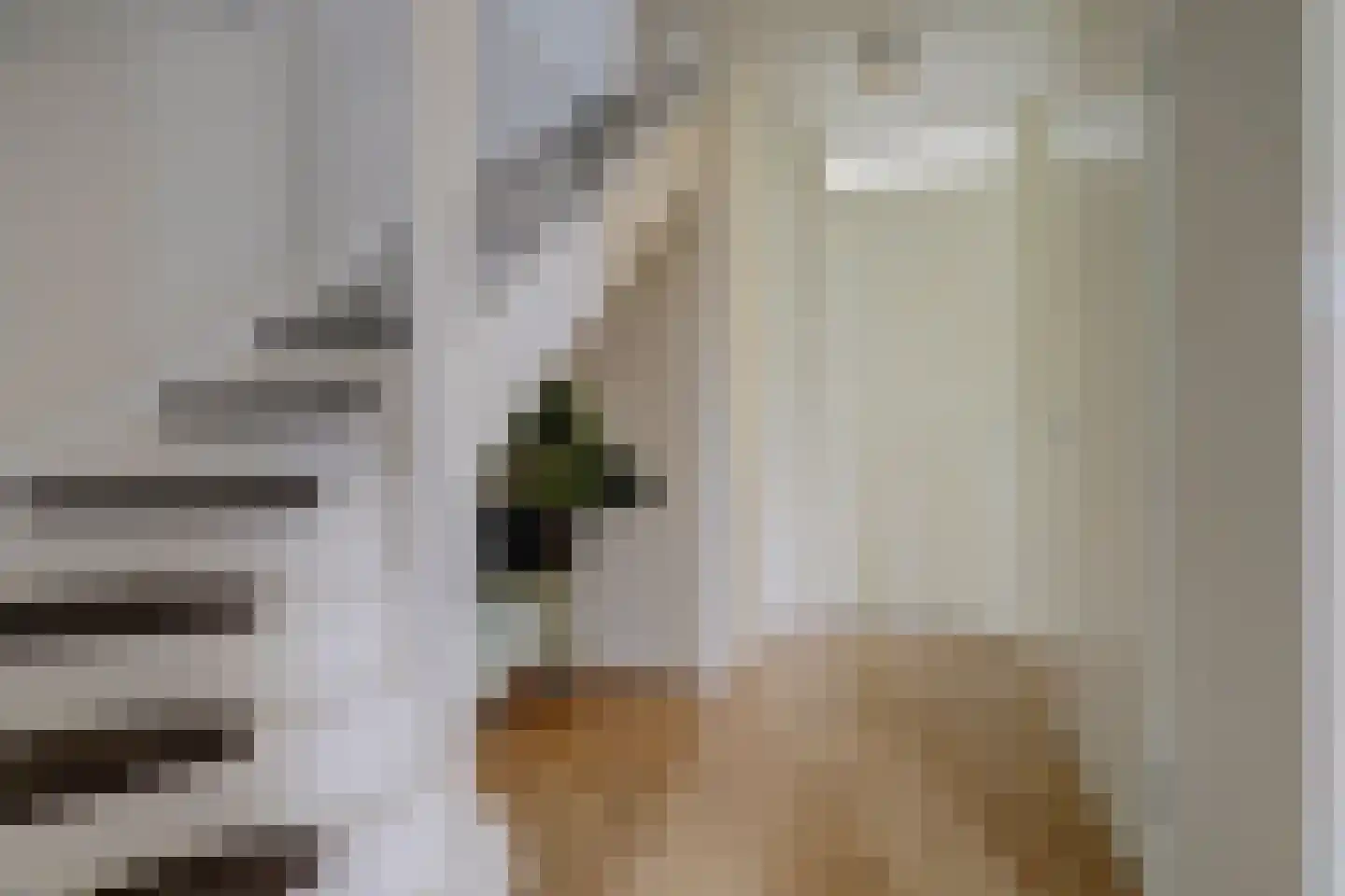 Paterskuil 19 Herten thumbnail 18