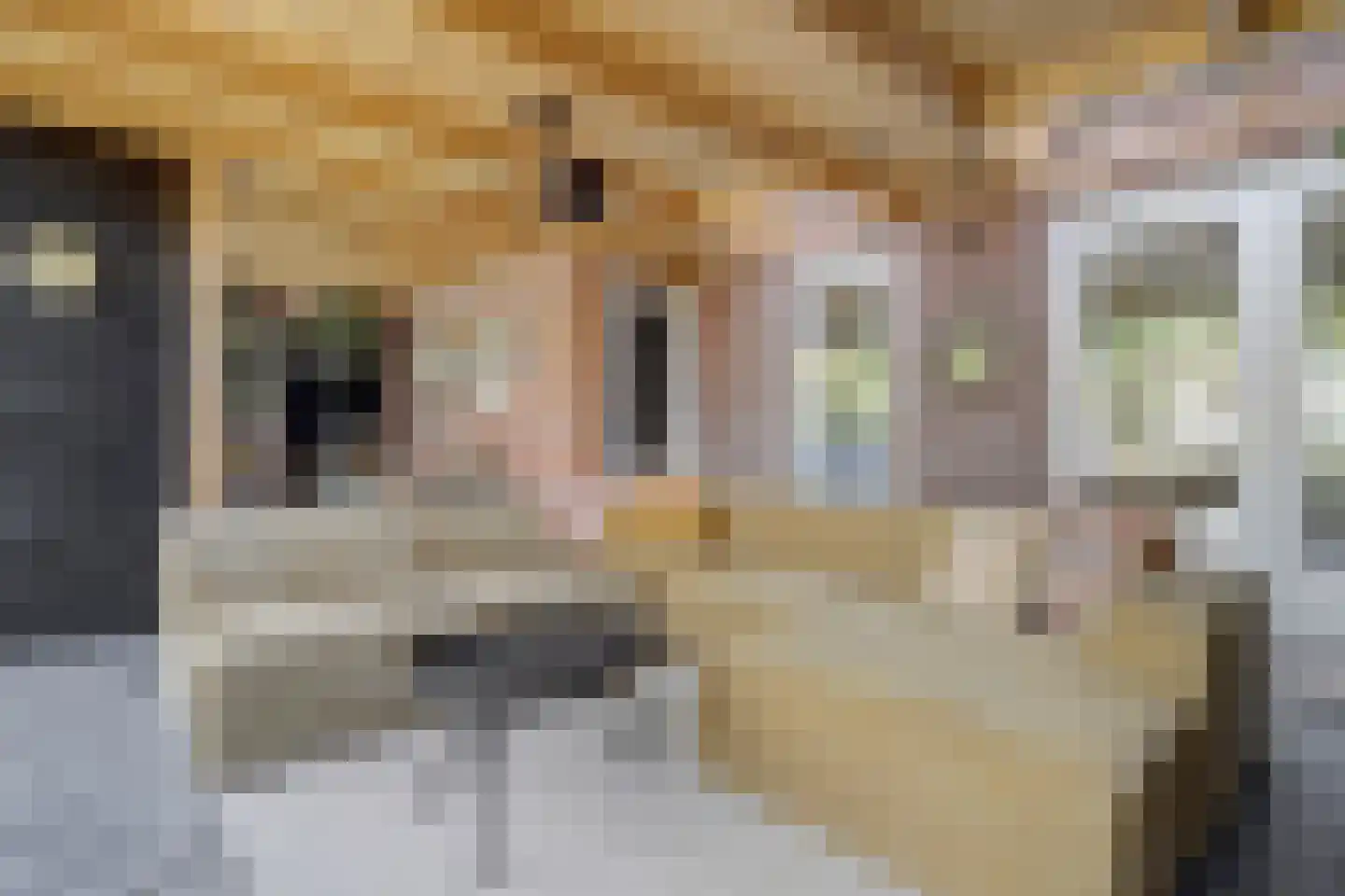 Paterskuil 19 Herten thumbnail 38