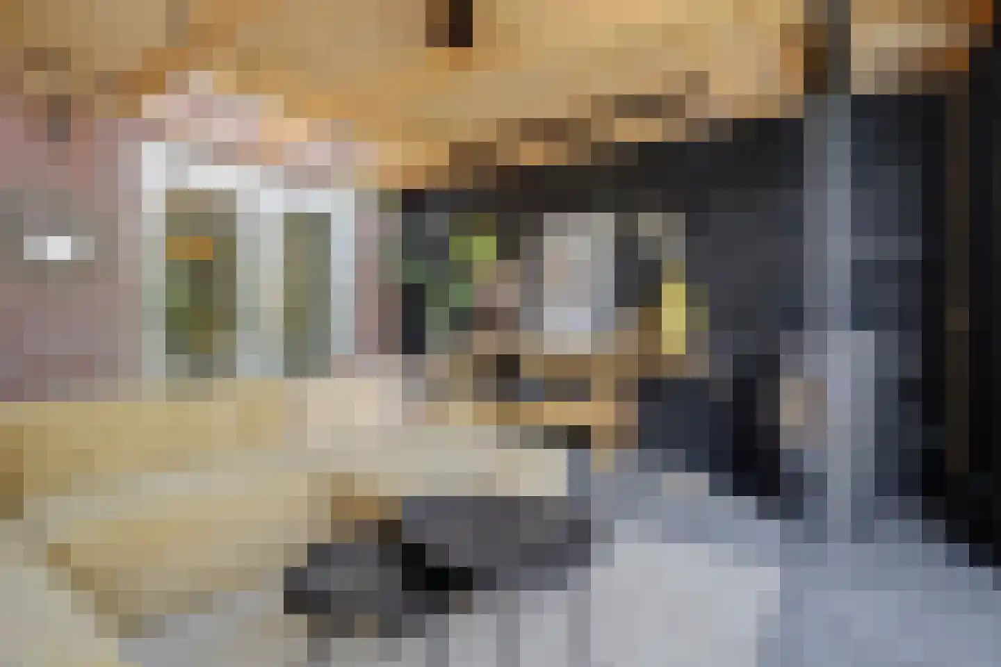 Paterskuil 19 Herten thumbnail 39