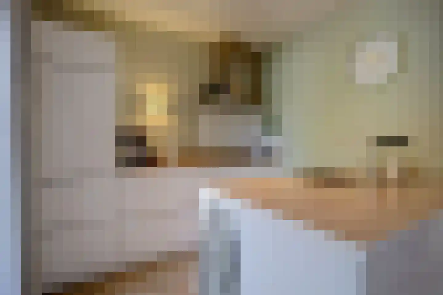 Paterskuil 19 Herten thumbnail 4