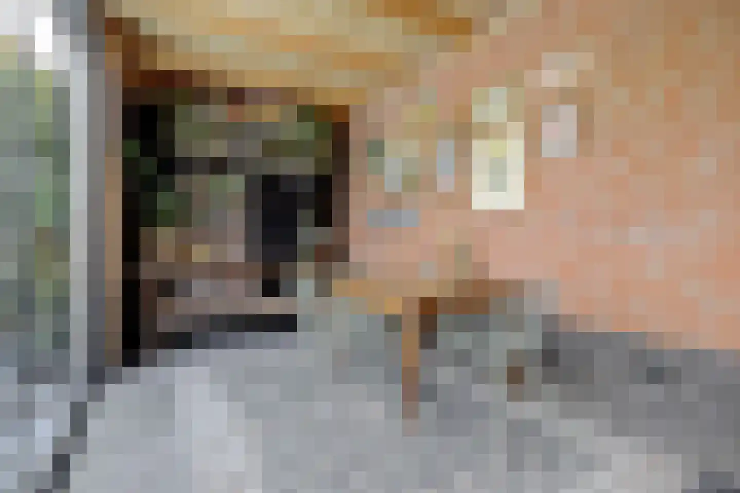 Paterskuil 19 Herten thumbnail 40