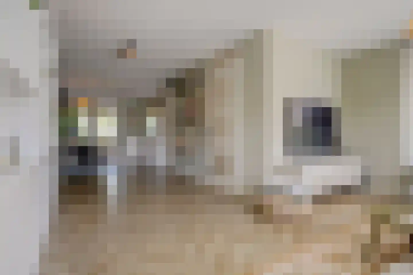 Paterskuil 19 Herten thumbnail 9