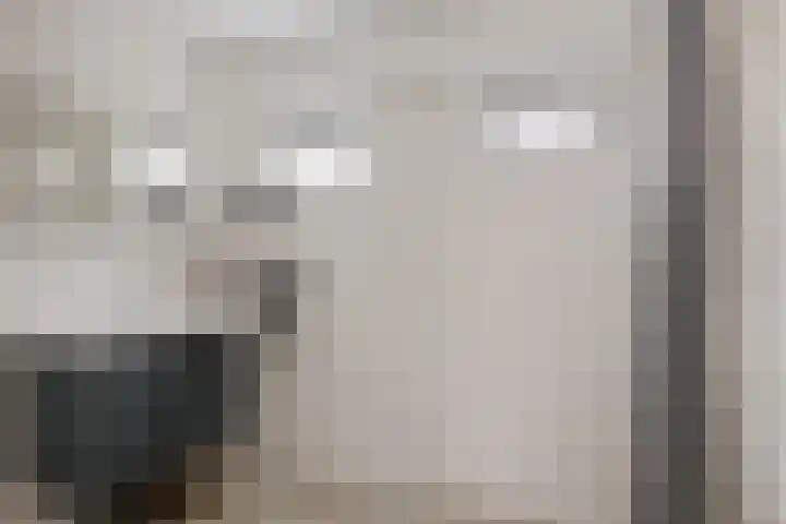 Paterslaan 19 Gasselternijveenschemond thumbnail 13