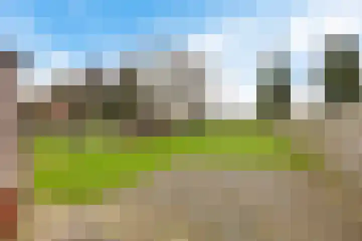 Paterslaan 19 Gasselternijveenschemond thumbnail 24