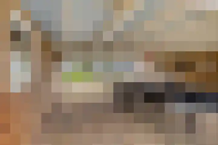 Paterslaan 19 Gasselternijveenschemond thumbnail 25