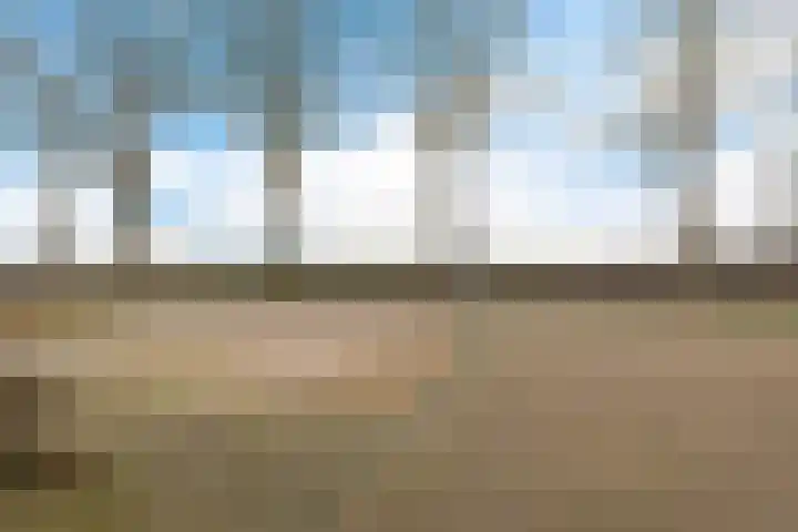 Paterslaan 19 Gasselternijveenschemond thumbnail 27
