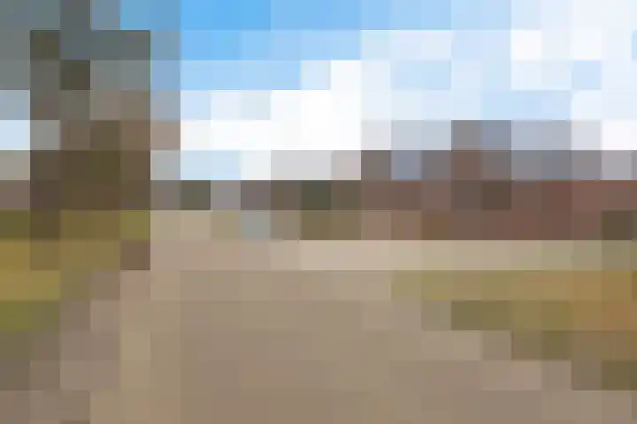 Paterslaan 19 Gasselternijveenschemond thumbnail 28