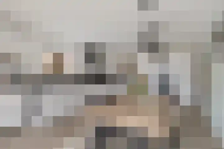 Paterslaan 19 Gasselternijveenschemond thumbnail 4