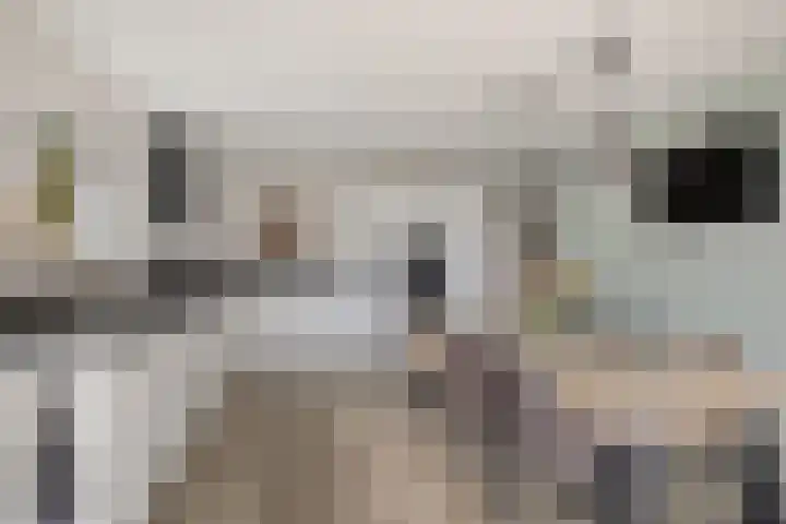 Paterslaan 19 Gasselternijveenschemond thumbnail 9