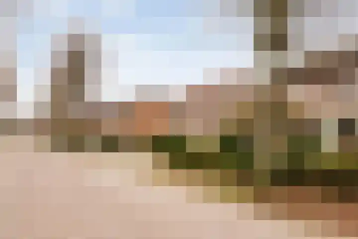 Paterslaan 2 a De Rips thumbnail 10