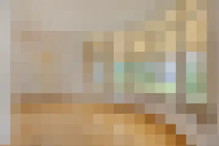 Paterslaan 2 a De Rips thumbnail 19