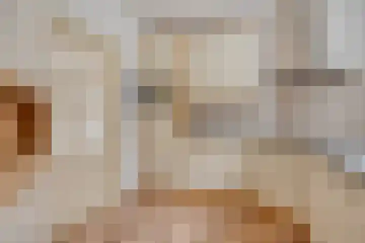 Paterslaan 2 a De Rips thumbnail 21