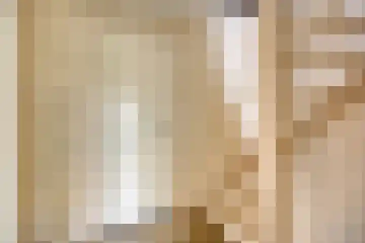 Paterslaan 2 a De Rips thumbnail 26