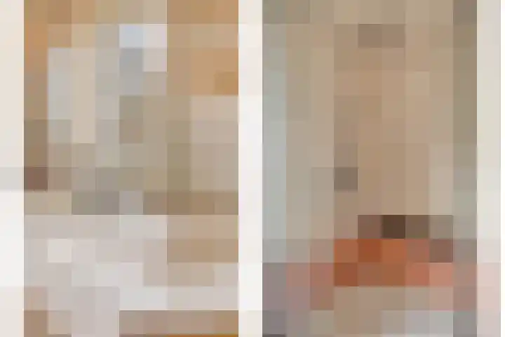Paterslaan 2 a De Rips thumbnail 30