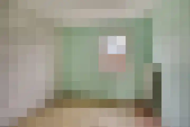 Paterslaan 2 a De Rips thumbnail 31
