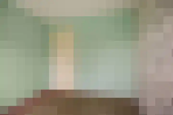 Paterslaan 2 a De Rips thumbnail 32
