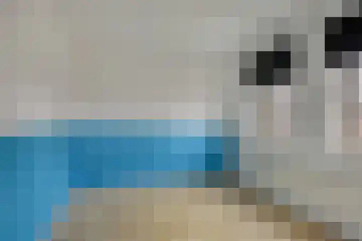 Paterslaan 2 a De Rips thumbnail 33