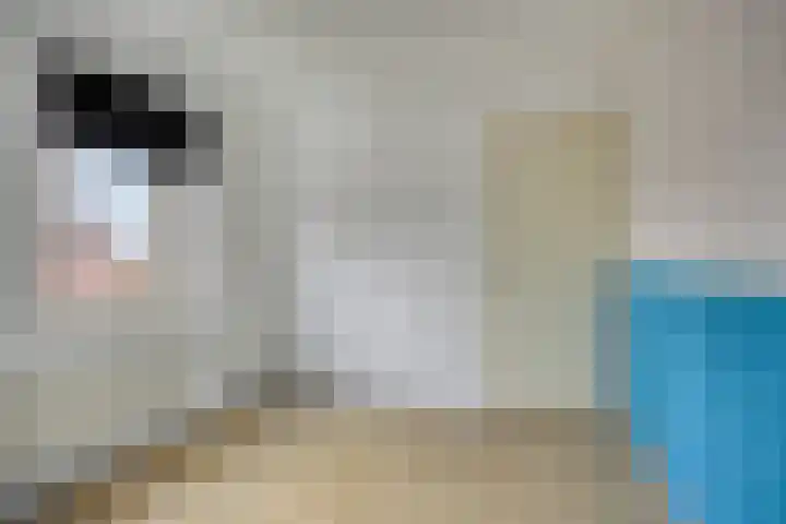 Paterslaan 2 a De Rips thumbnail 34