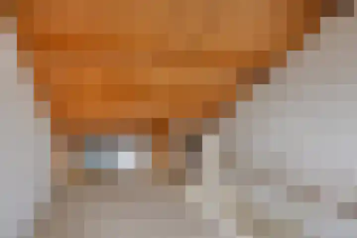 Paterslaan 2 a De Rips thumbnail 35