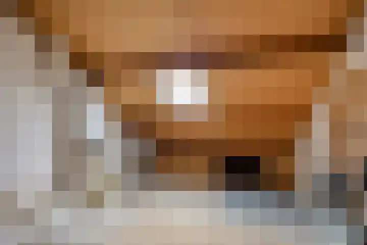 Paterslaan 2 a De Rips thumbnail 36