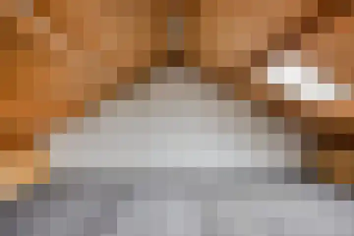 Paterslaan 2 a De Rips thumbnail 37