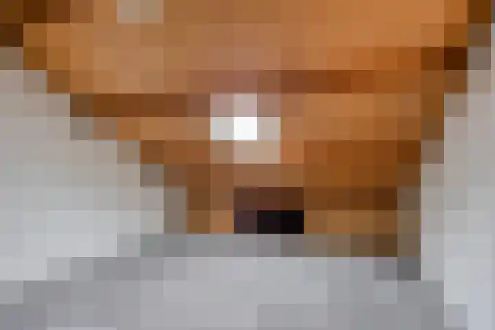Paterslaan 2 a De Rips thumbnail 38