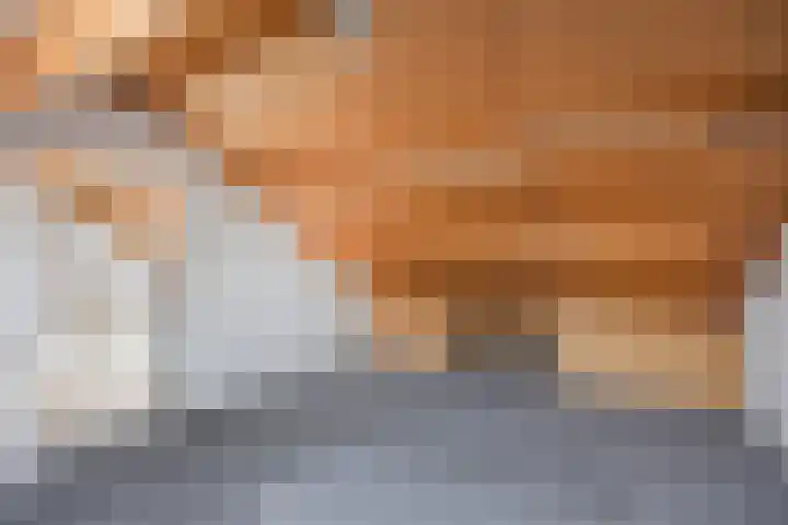 Paterslaan 2 a De Rips thumbnail 39