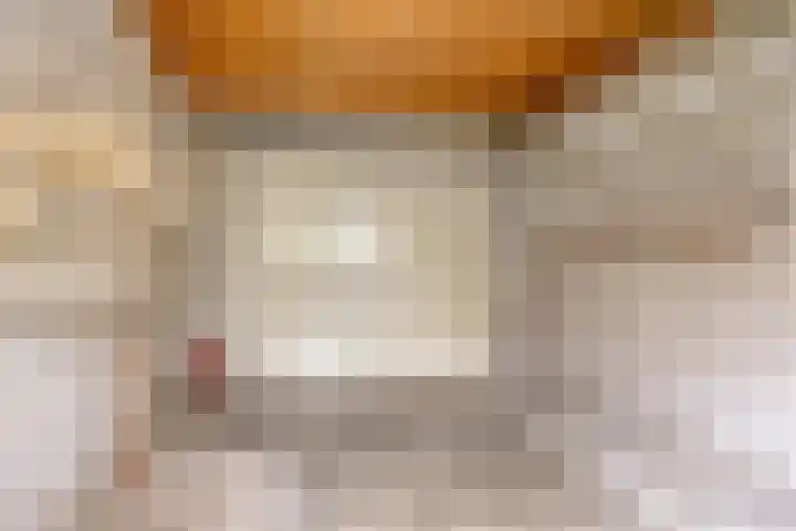 Paterslaan 2 a De Rips thumbnail 40
