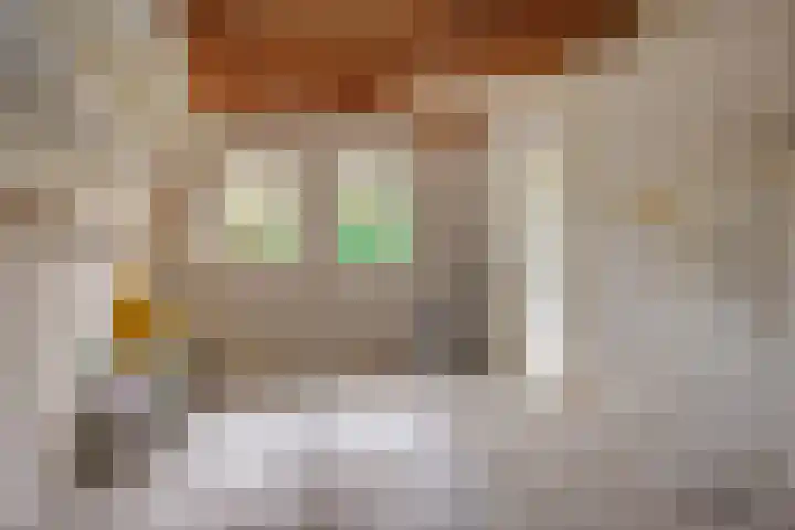 Paterslaan 2 a De Rips thumbnail 41
