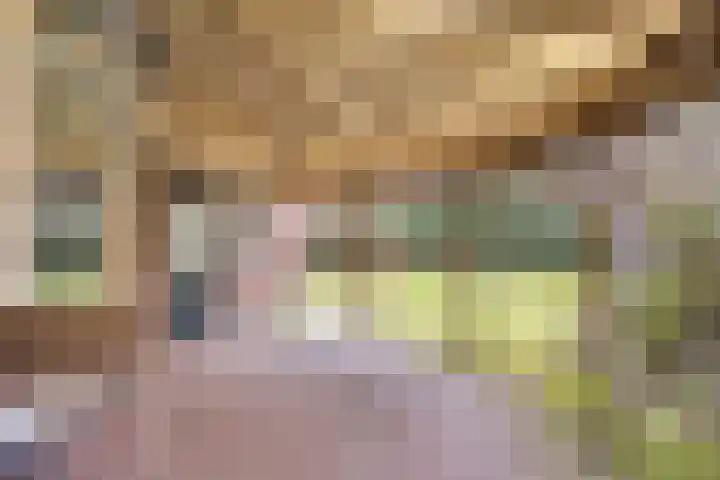 Paterslaan 2 a De Rips thumbnail 42