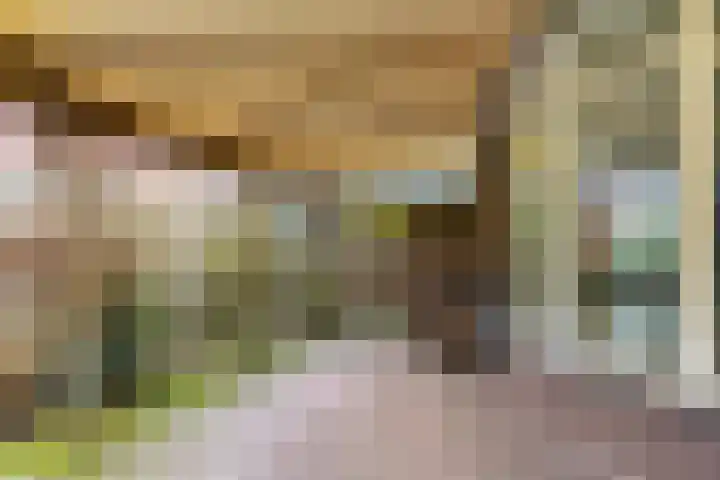Paterslaan 2 a De Rips thumbnail 43