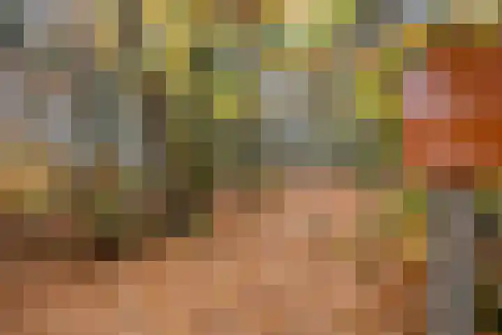 Paterslaan 2 a De Rips thumbnail 48
