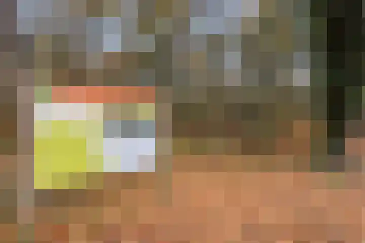 Paterslaan 2 a De Rips thumbnail 49