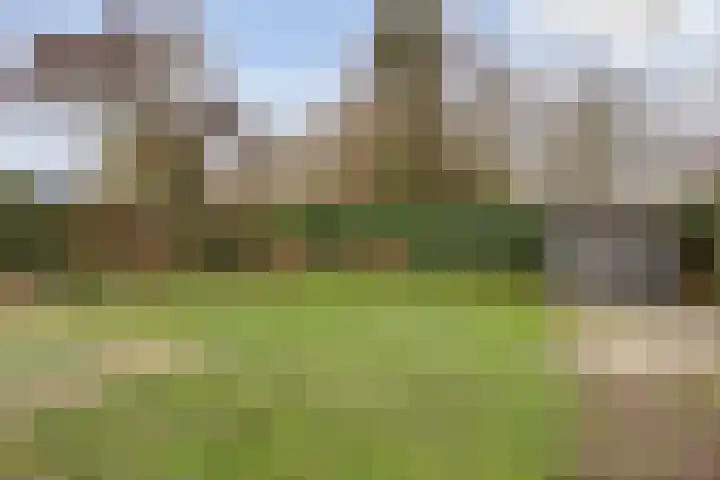 Paterslaan 2 a De Rips thumbnail 5