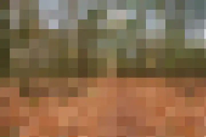 Paterslaan 2 a De Rips thumbnail 50