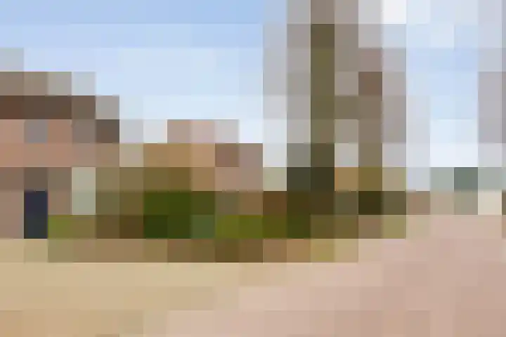 Paterslaan 2 a De Rips thumbnail 7