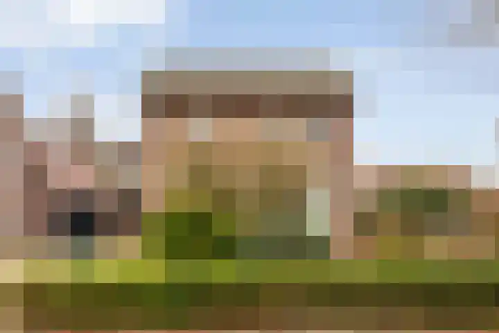 Paterslaan 2 a De Rips thumbnail 8
