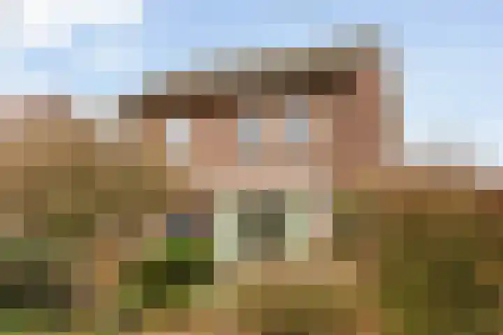 Paterslaan 2 a De Rips thumbnail 9