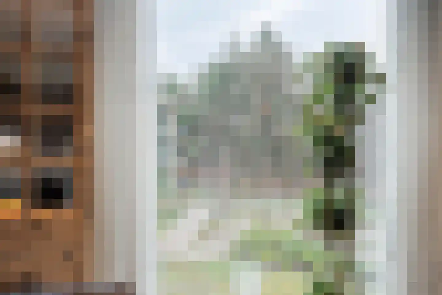 Paterslaan 23 Rosmalen thumbnail 10