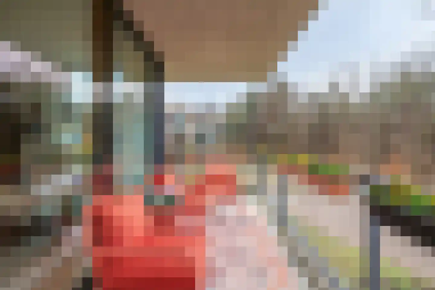 Paterslaan 23 Rosmalen thumbnail 12