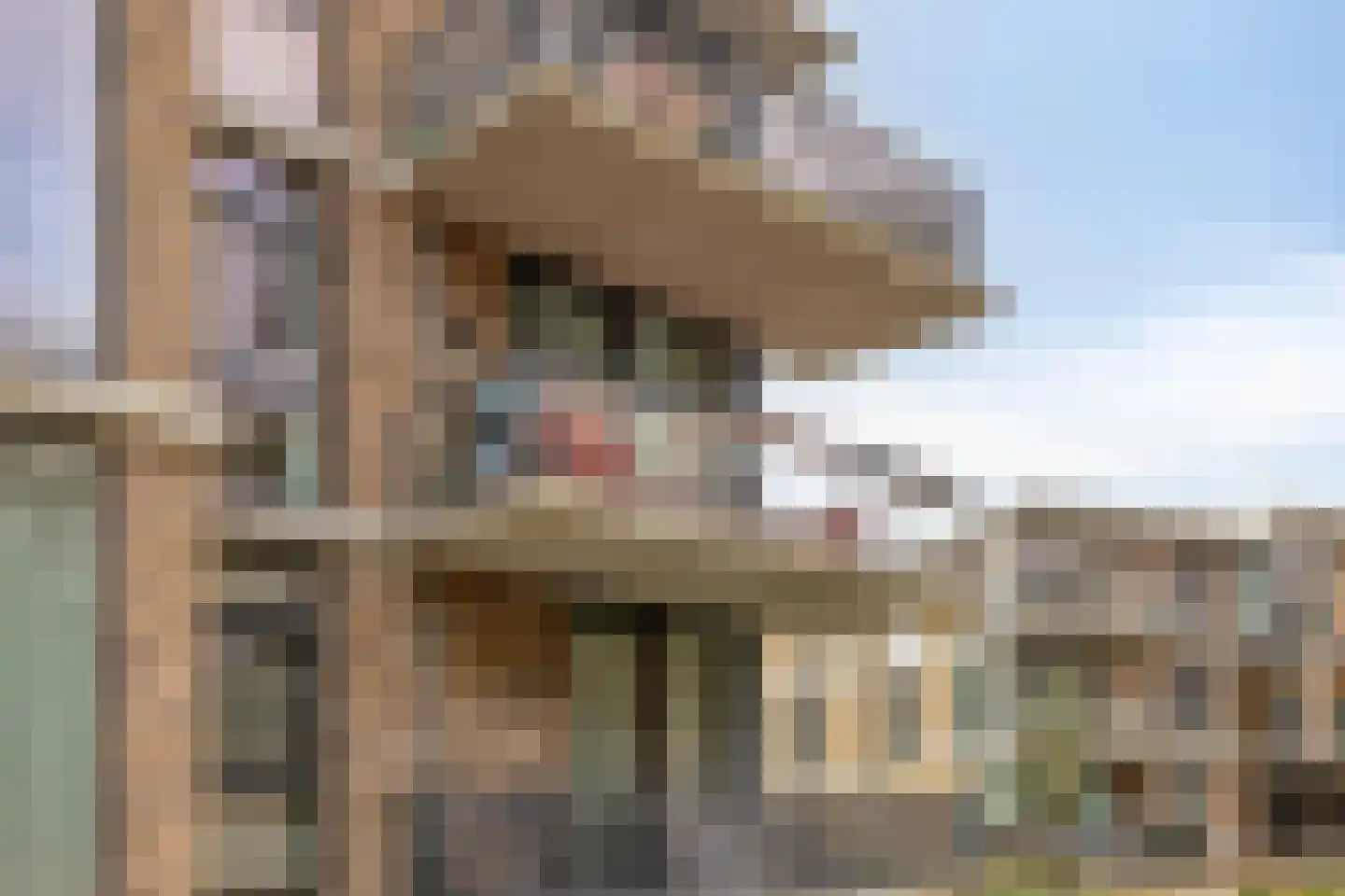 Paterslaan 23 Rosmalen thumbnail 29