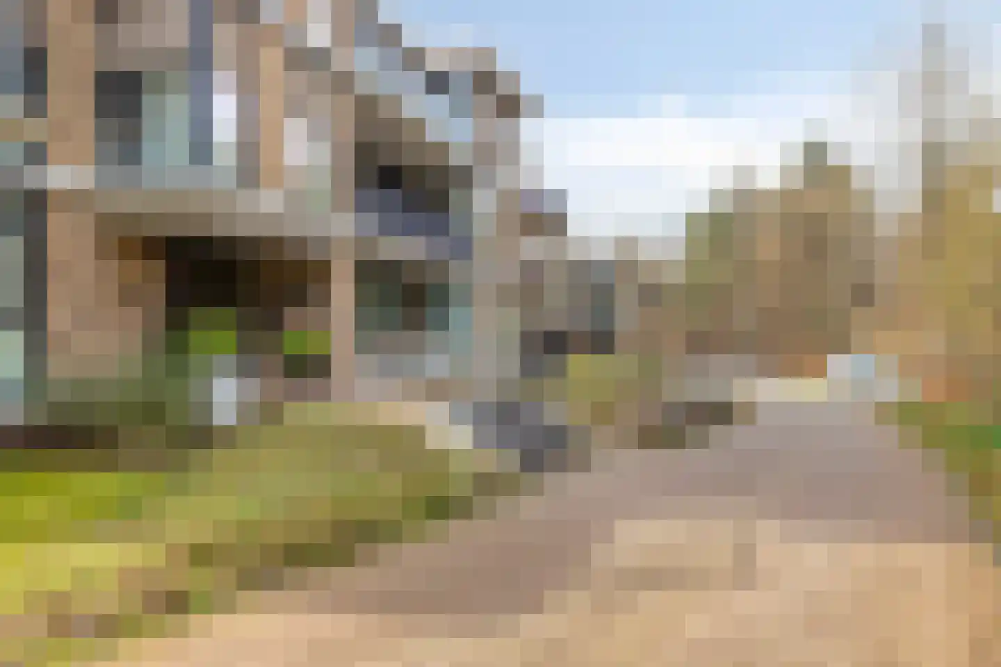 Paterslaan 23 Rosmalen thumbnail 30