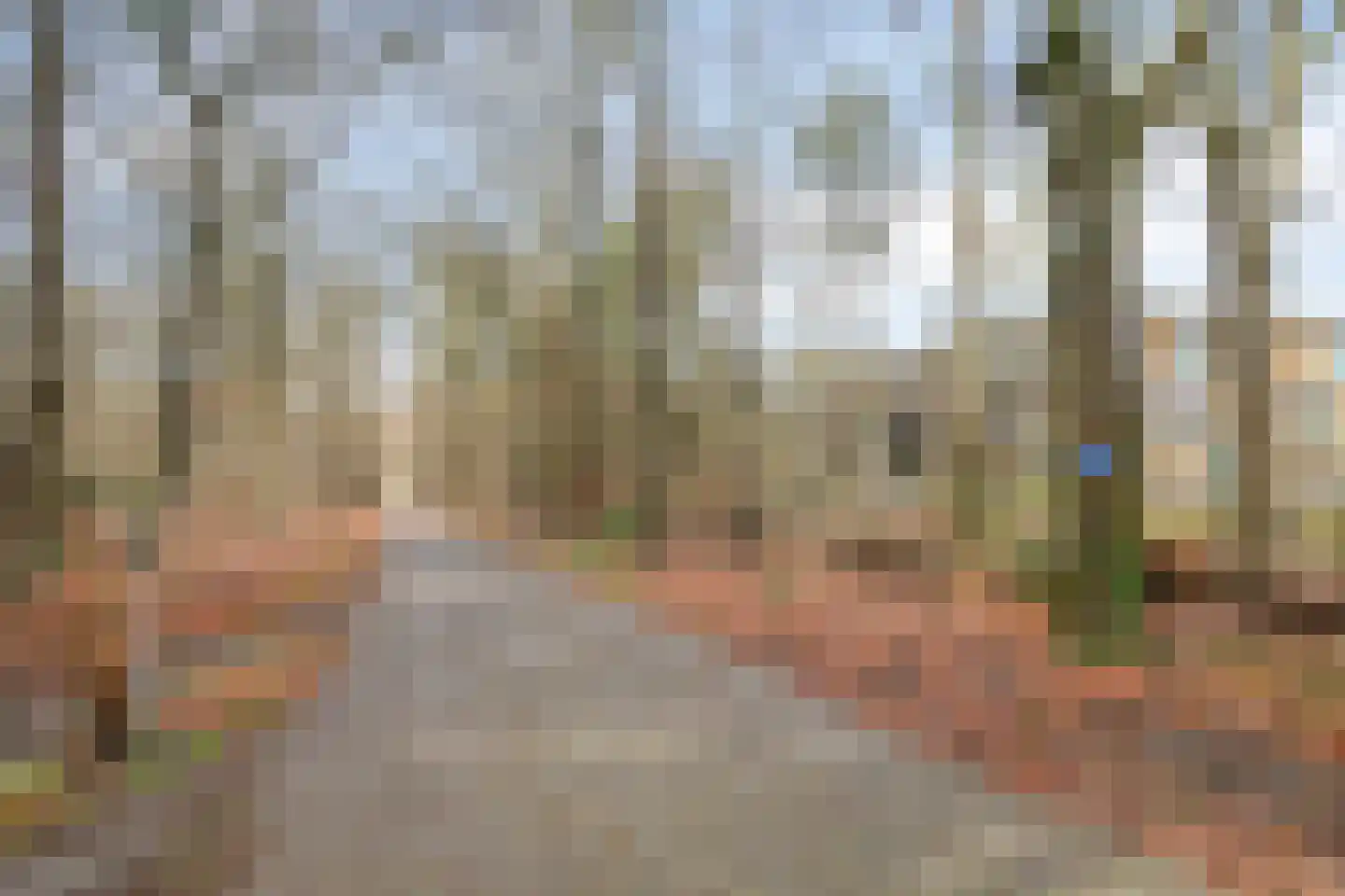 Paterslaan 23 Rosmalen thumbnail 34