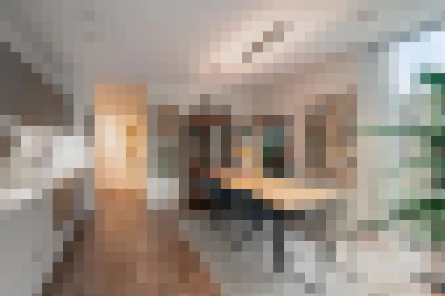 Paterslaan 23 Rosmalen thumbnail 4